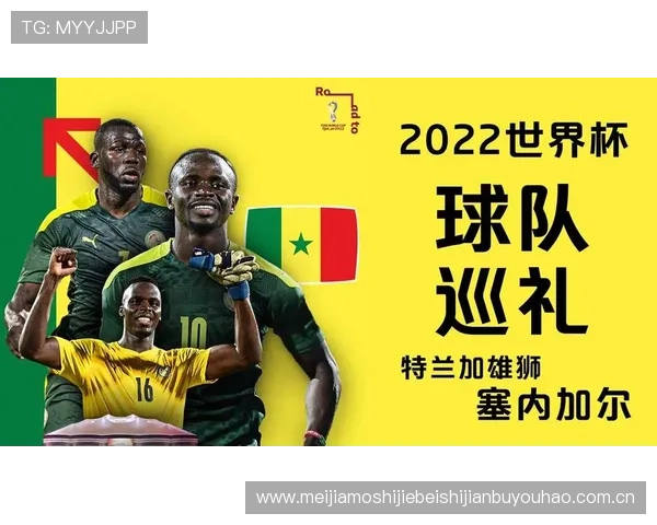 世界杯挪威对塞内加尔官方购票指南及最新购票流程详解